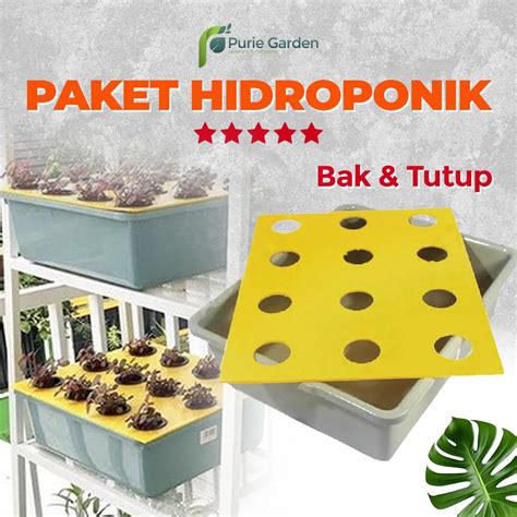 Jual Paket Hidroponik Wick System Bak Tutup Purie Garden Shopee