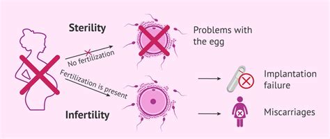 Infertility In Women Symptoms How To Treat And Prevent