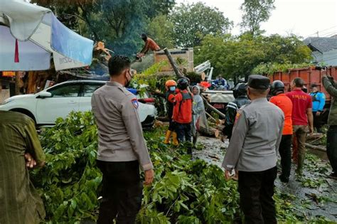 Semarang Dilanda Angin Kencang Mobil Tertimpa Pohon Tumbang