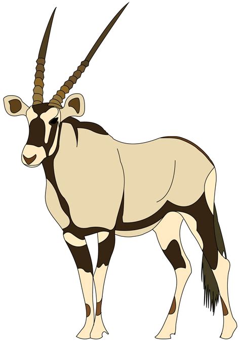 technical prowess: Gemsbok Antelope