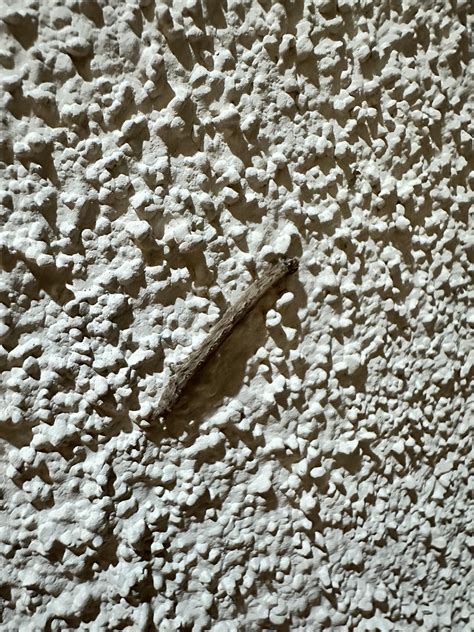Caterpillars Outside My House Rlasvegas