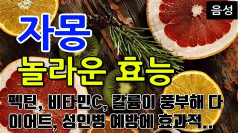 자몽효과 자몽의 놀라운 효능 10가지 펙틴 비타민c 칼륨이 풍부해 다이어트 성인병 예방에 효과적 Youtube