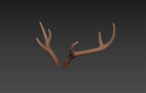 3d Model Deer Antler Vr Ar Low Poly Cgtrader