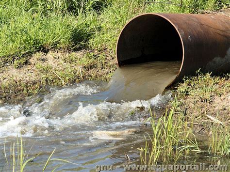 Effluent Définition Et Explications