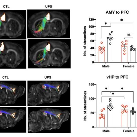 Unpredictable Postnatal Stress Causes Sex Specific Alterations In