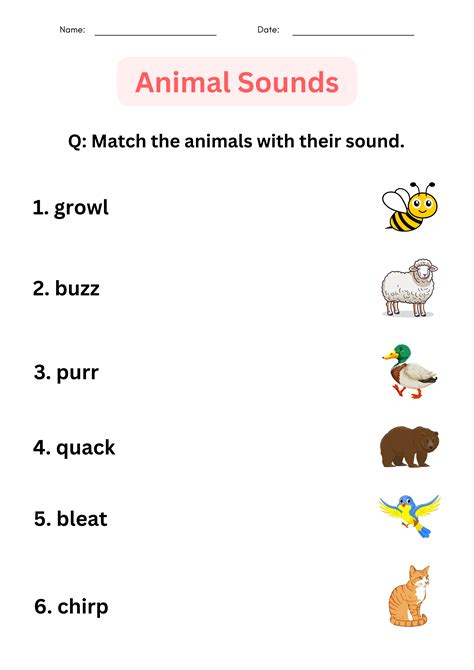 Printable Mmatching Animal Groups Worksheet For Grade 1 2 3 Made By