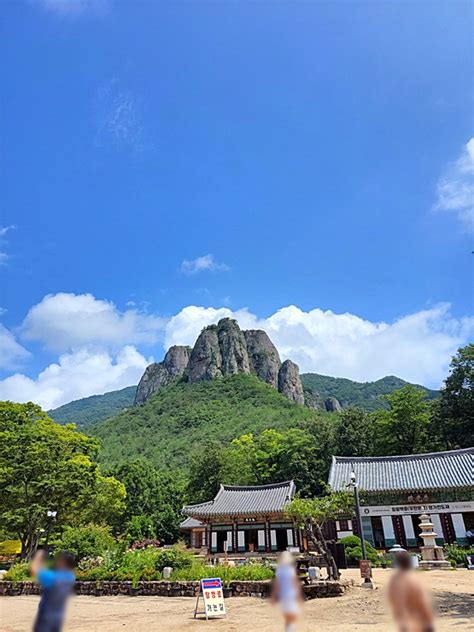 힐링 청송 주왕산국립공원 청송삼보식당 네이트뷰