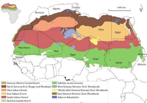 African Sahel