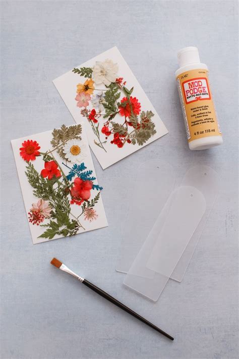 Diy Pressed Flower Bookmarks — Entertain The Idea Flower Bookmark