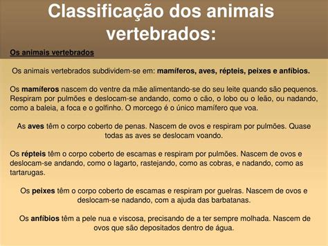 Ppt Animais Vertebrados E Invertebrados Powerpoint Presentation Free