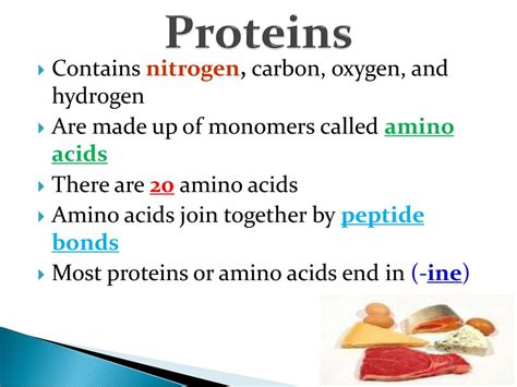 Proteins and Nucleic Acids - ppt download 