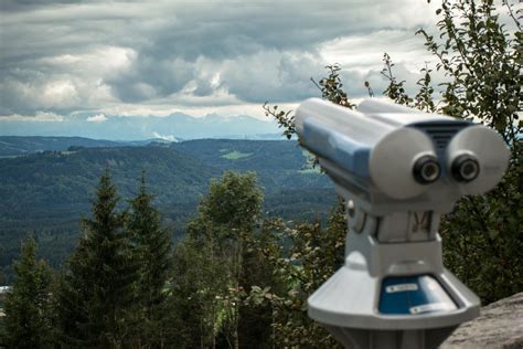 Images Gratuites Regarder Paysage Arbre For T Herbe Montagne