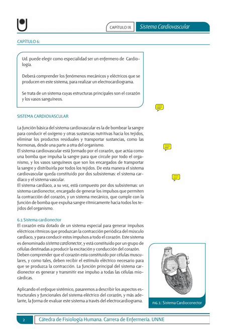 PDF CAPÍTULO IX Sistema Cardiovascular los canales de potasio En