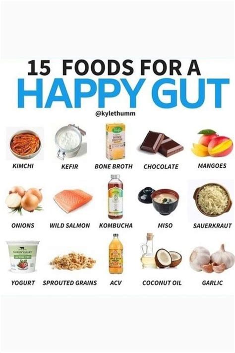 15 Foods Dir Happy Gut Healthy Gut Recipes Digestive Health Healing