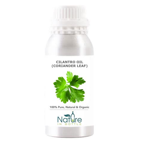 Cilantro Essential Oil Organic Coriander Leaf Oil France