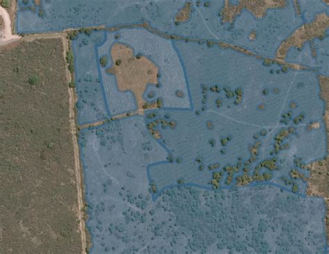 Example Of Initial Phase Agave Crop Segmentation Labels Note That Some