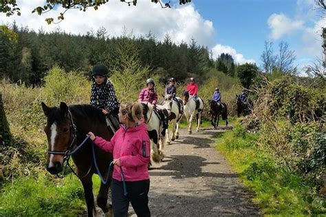 Pony Trekking And Horse Riding Mourne Road Tours