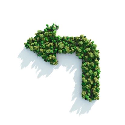 green turn stock photo  image  alertness amazon