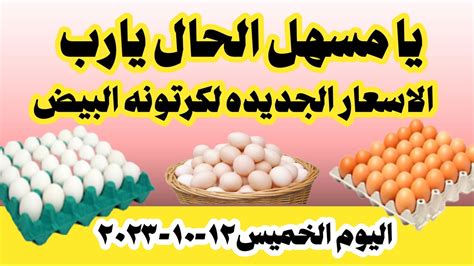 اسعار البيض اليوم سعر البيض اليوم الخميس ١٢ ١٠ ٢٠٢٣ في المحلات في مصر