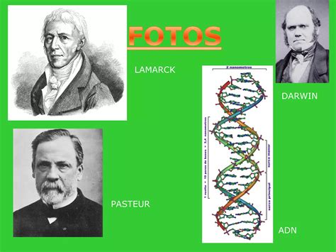 Teorías De La Evolución Ppt