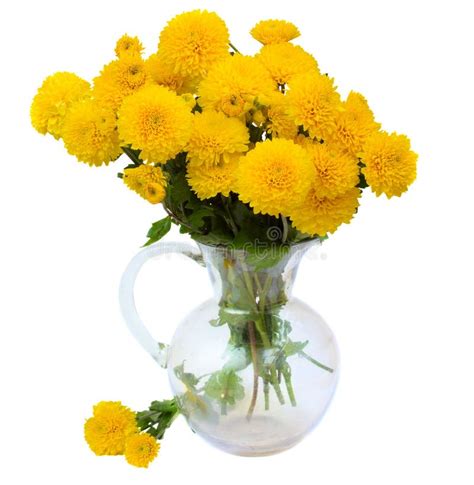 Bouquet Of Yellow Mums In Vase Stock Image - Image of colourful ...