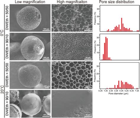 Surficial Microstructures And Pore Size Distribution Of The Porous Download Scientific Diagram