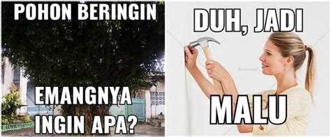 15 Meme Benar Tapi Salah Ini Bikin Tepuk Jidat Bacanya