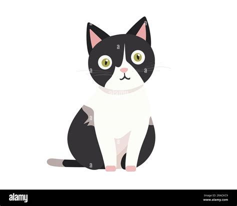 Flat Cat Vector Illustration Stock Vector Image And Art Alamy