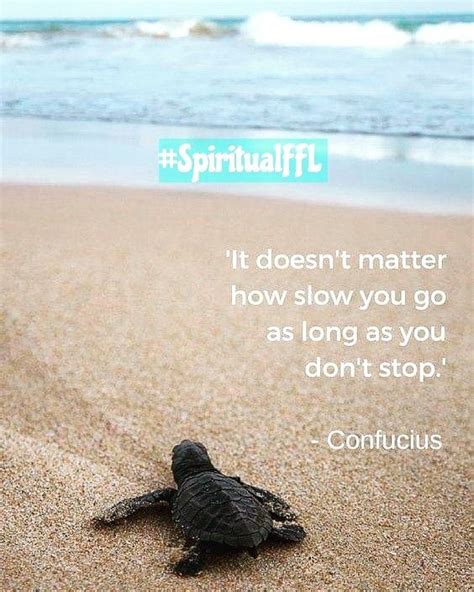 It Doesn T Matter How Slow You Go As Long As You Don T Stop