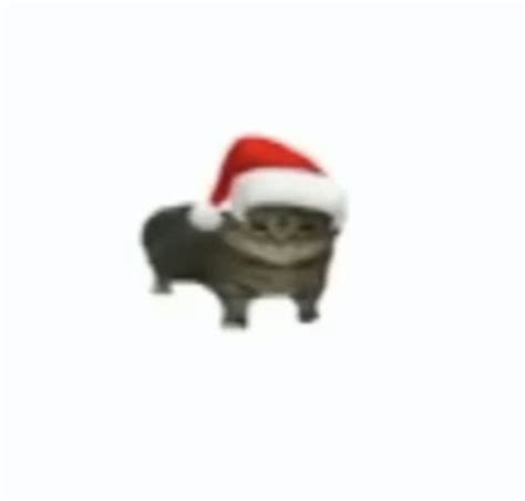 Funny Cat in Santa Hat