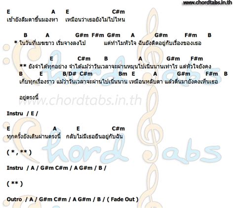 รายการ 103 ภาพ หลับตากระต่าย ความละเอียด 2k 4k