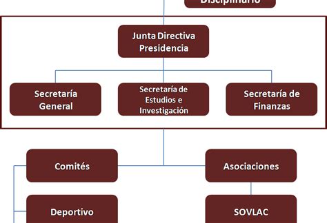 Estructura Organizativa