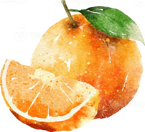 Orange Slice Hand Drawn Watercolor Painting 16548636 Png