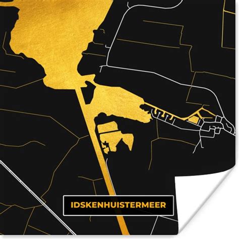 Poster Kaart Plattegrond Stadskaart Idskenhuistermeer Goud