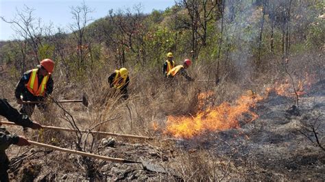 Incontrolable M S De Cinco D As Activo Lleva Incendio Forestal En La