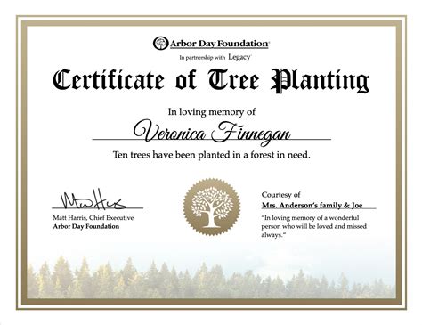 Plant Memorial Trees in U.S. National Forests - Sympathy Trees - Legacy.com