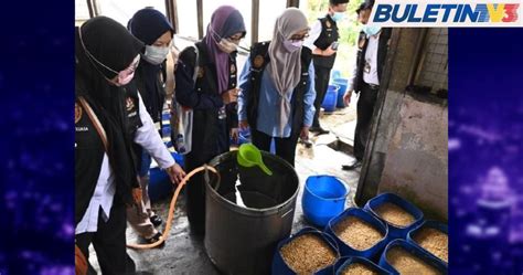 Kotor Tiga Kilang Proses Makanan Diarah Tutup Serta Merta Buletin