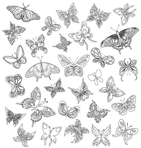 Coloriage De Mandala De Papillon Meilleur Coloriage Pour Les Enfants