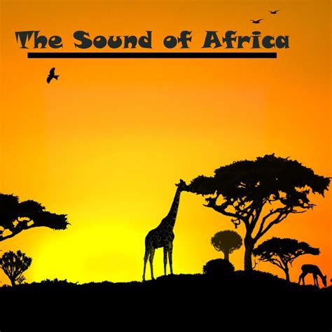 The Sound Of Africa Compilation Von Verschiedene Interpreten Spotify