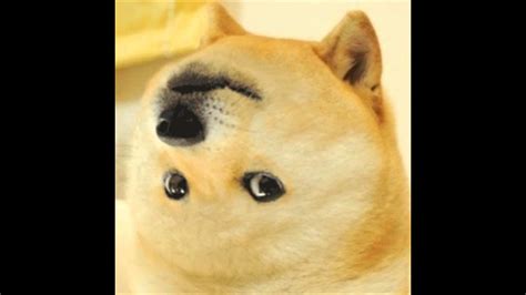 Doge Meme Wallpaper 85 Images