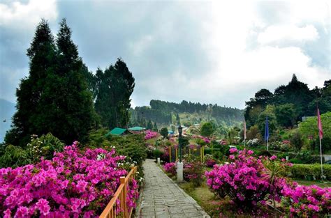 Kalimpong - Tourist Places & Top Things to Do in 2025