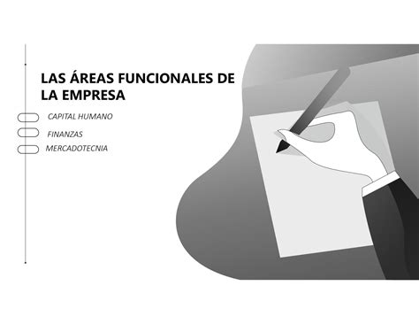 SOLUTION 3 Las Reas Funcionales De La Empresa Studypool