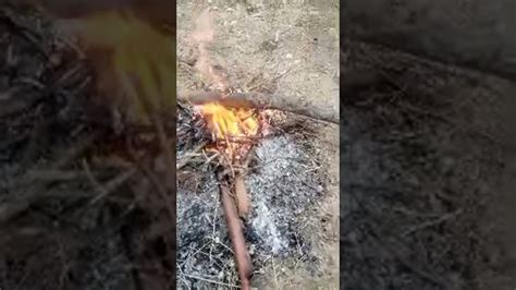 Highlight 132 632 From Funny Moments Youtube