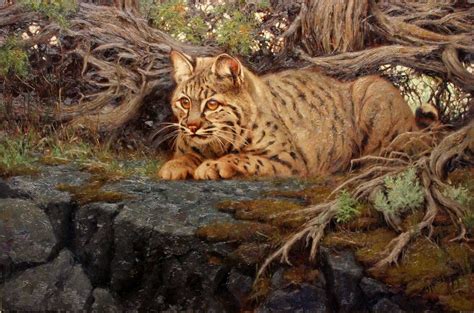 Greg Beecham B1954 — Lava Cat 2012 1500x993 Hunting Art Animal