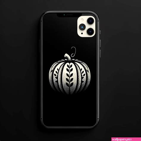 Pumpkin Iphone Wallpaper Wallpapers Pics