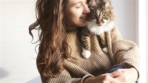 Bindehautentz Ndung Bei Katzen So Behandeln Sie Ihren Stubentiger