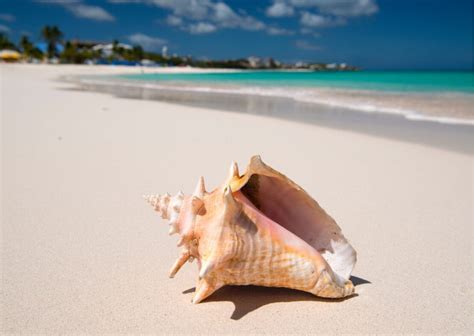 Discover the Top 10 Best Beaches in Anguilla