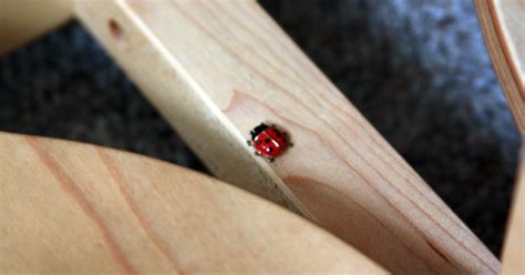 Handmade By Stefanie Spinning Gearbox Schacht Ladybug Wheel