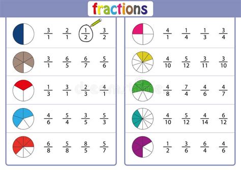 Circle The Correct Fraction Mathematics Math Worksheet Stock