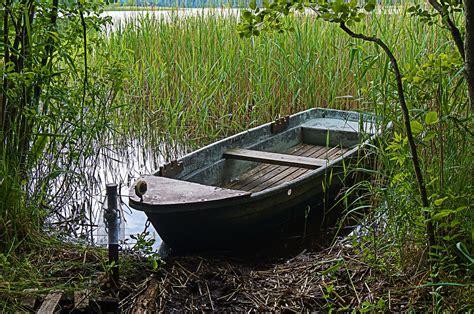 Fotos Gratis Agua Naturaleza Al Aire Libre Planta Barco Lago